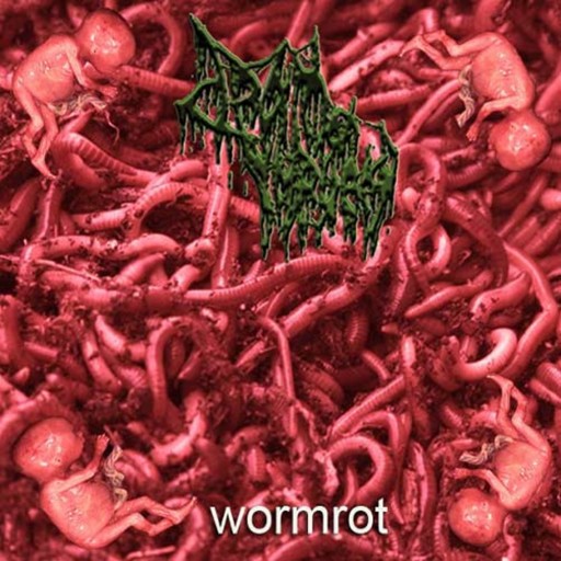 Wormrot
