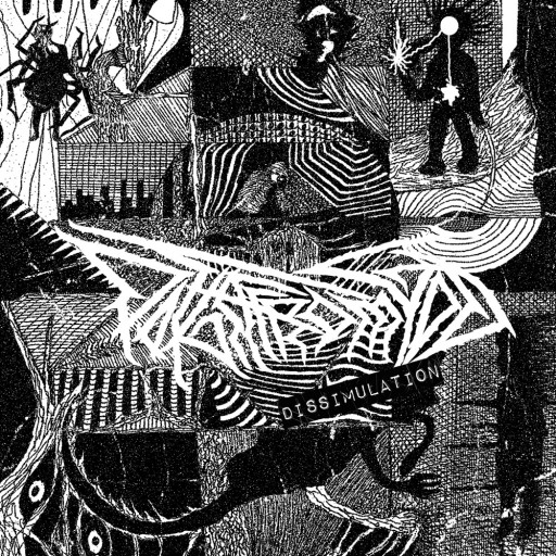 Dissimulation