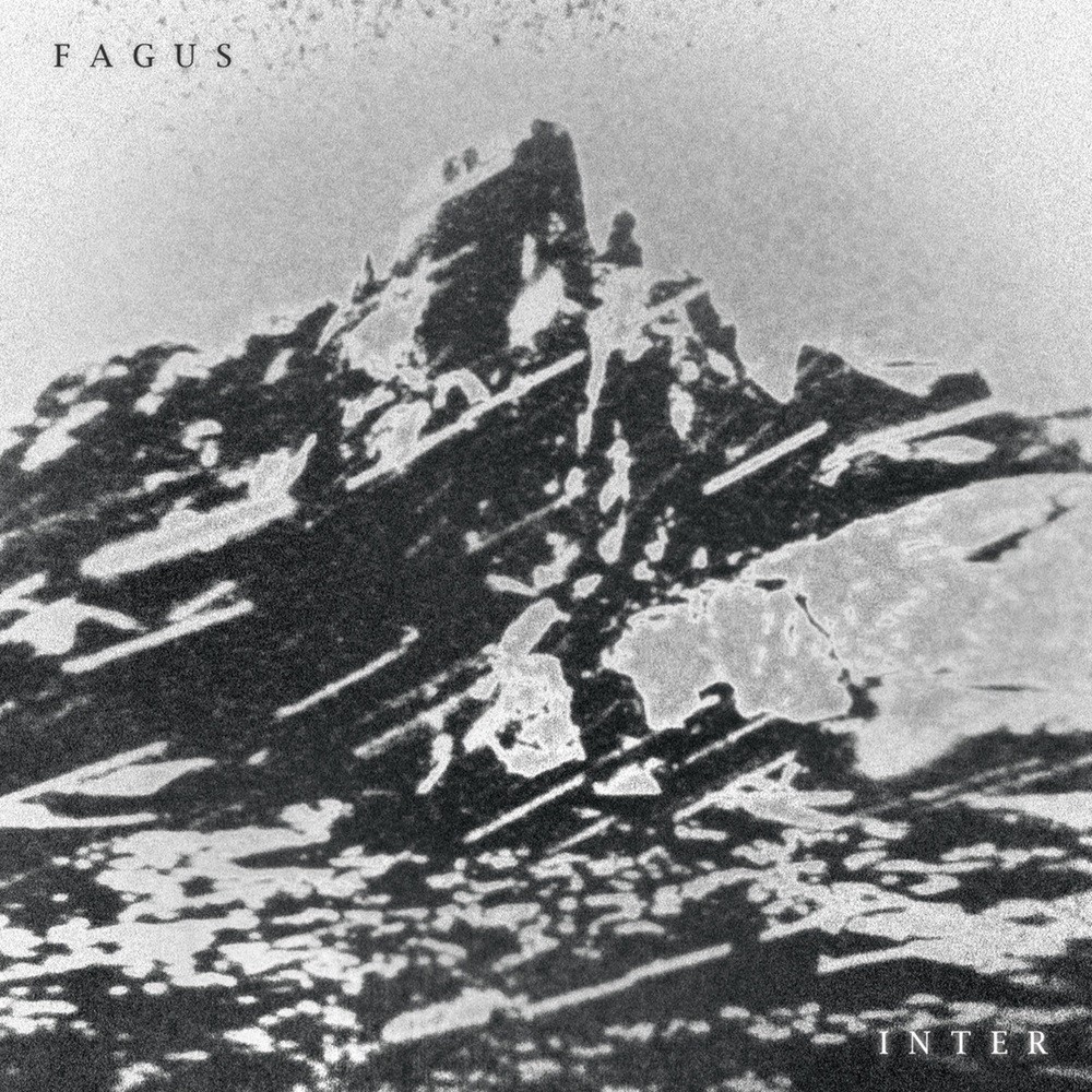 Fagus - Inter (2023) Cover