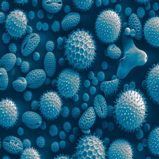 219: Swift Glances of Caution at the Hurrying Pedestrians