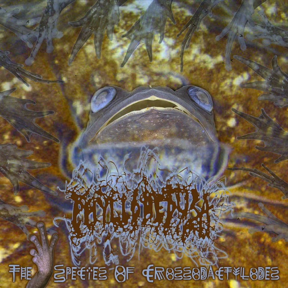 Phyllomedusa - The Five Species of Crossodactylodes (2023) Cover