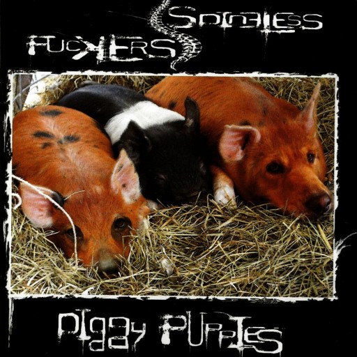 Piggy Puppies