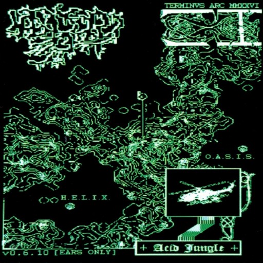 Acid Jungle