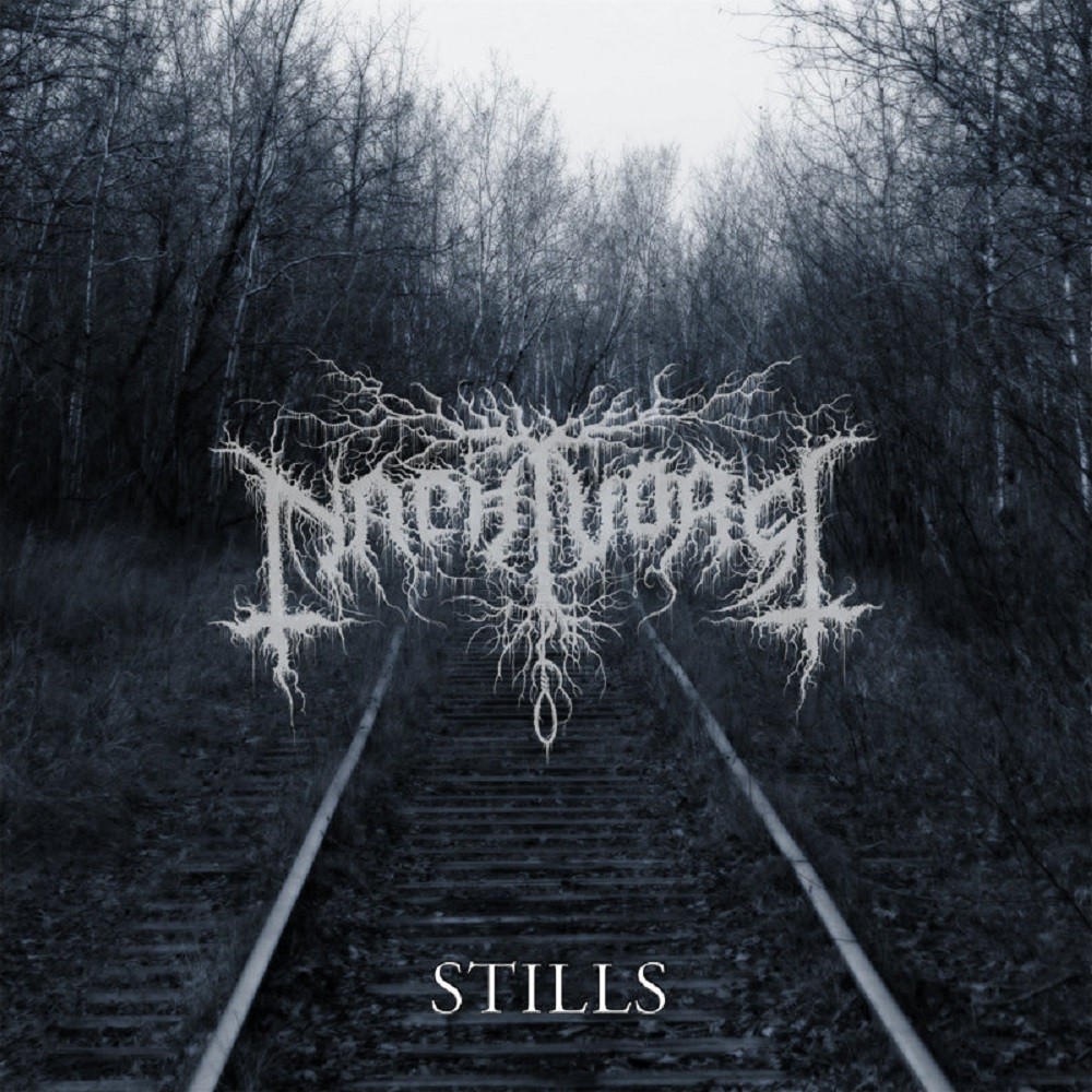 Nachtvorst - Stills (2009) Cover