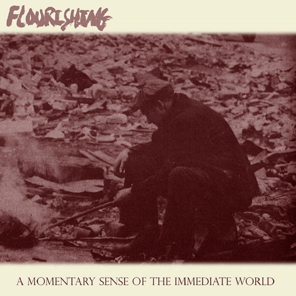 Flourishing - A Momentary Sense of the Immediate World (2010) Cover