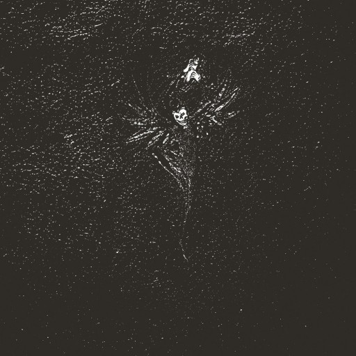 Vertellingen van een donkere eeuw