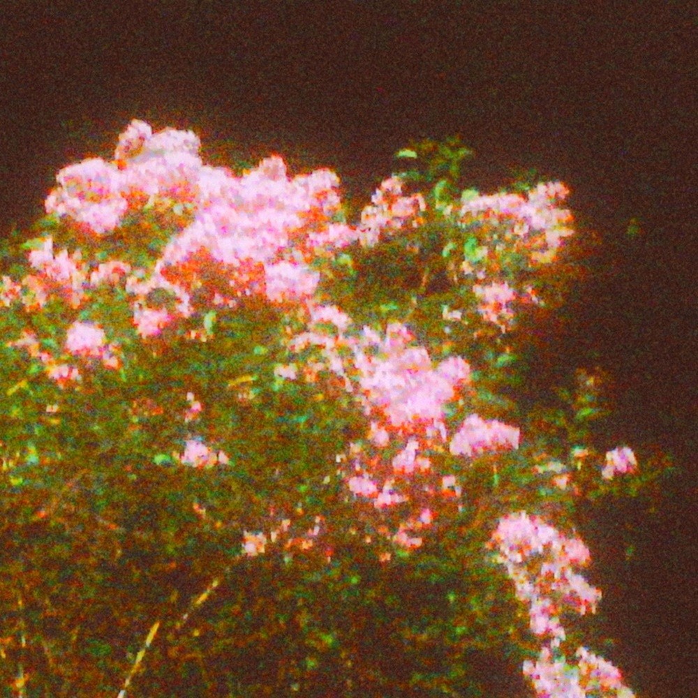 Sadness (USA) - Your Perfect Hands and My Repeated Words (2024) Cover