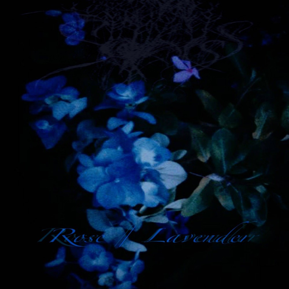 Sadness (USA) - Rose / Lavender (2016) Cover