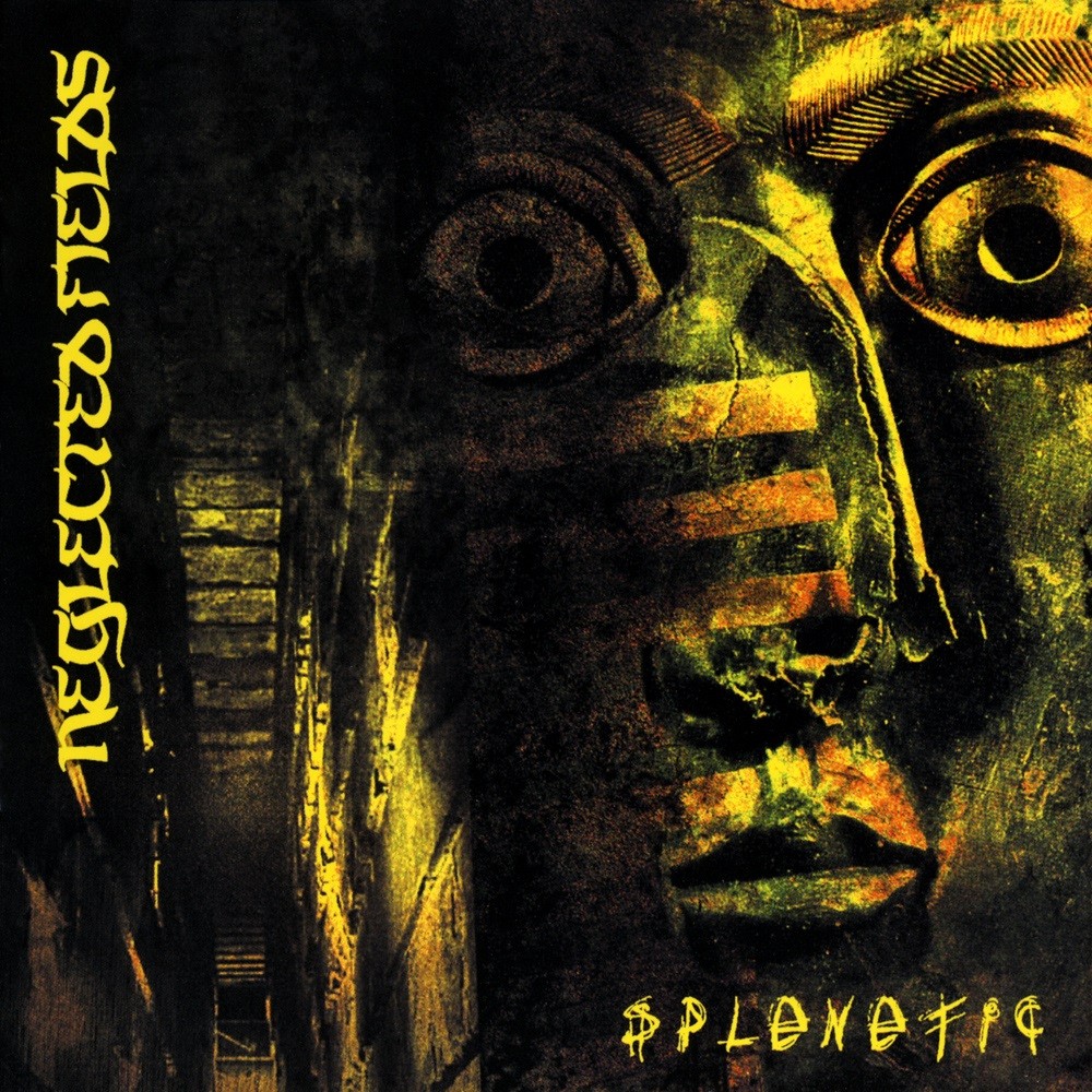 Neglected Fields - Splenetic (2006) Cover