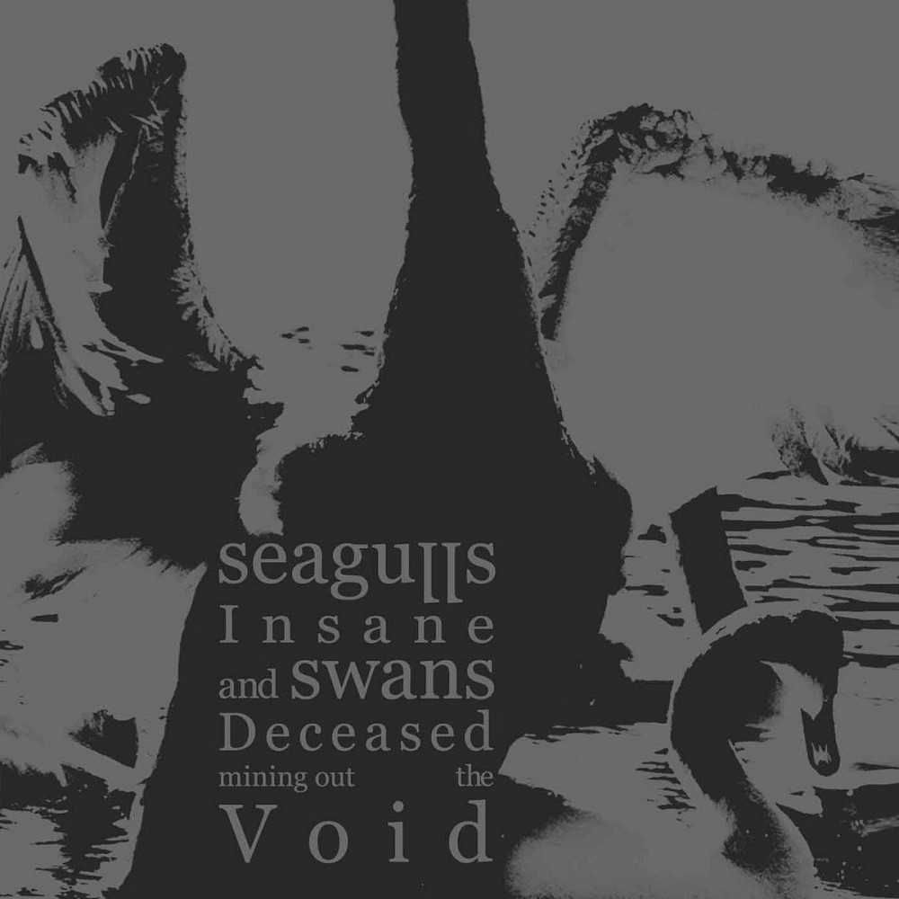 Seagulls Insane and Swans Deceased Mining Out the Void - Seagulls Insane and Swans Deceased Mining Out the Void (2011) Cover