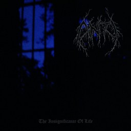 The Insignificance of Life