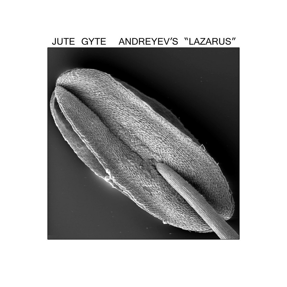 Jute Gyte - Andreyev's "Lazarus" (2012) Cover