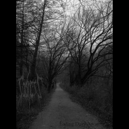 Fading Days Away​.​.​.