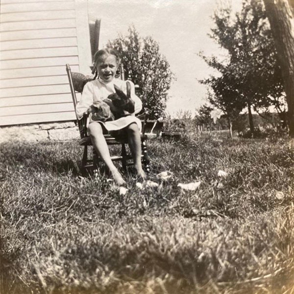 Silly Goose - The Goose Is Out of the Bag (2021) Cover