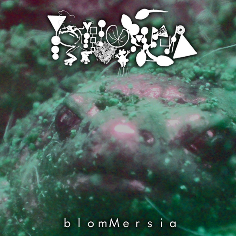 Phyllomedusa - Blommersia (2010) Cover