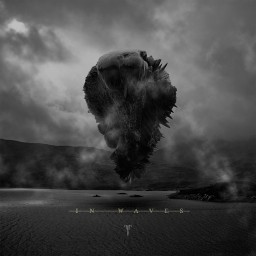 Review by Vinny for Trivium - In Waves (2011)
