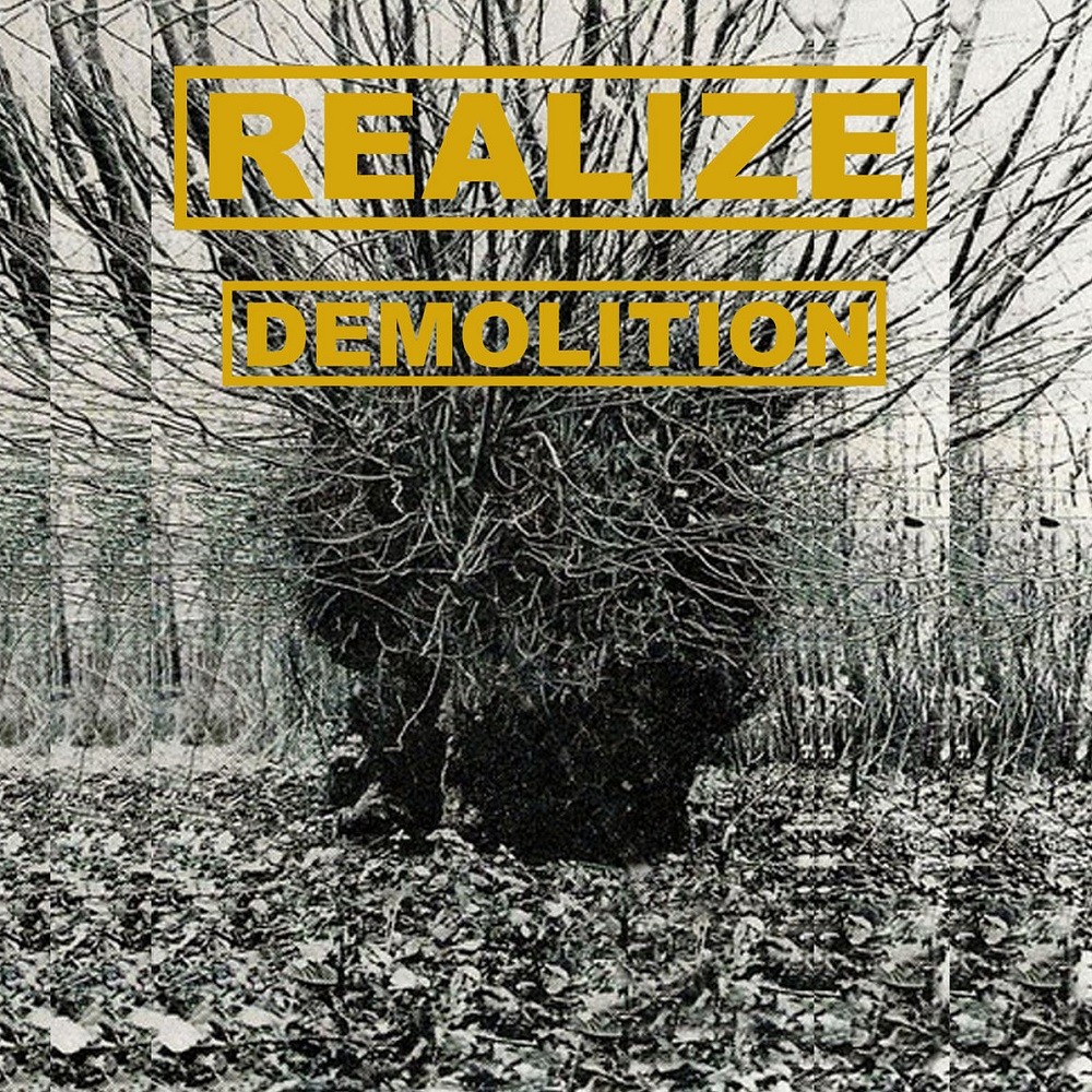 Realize - Demolition (2017) Cover