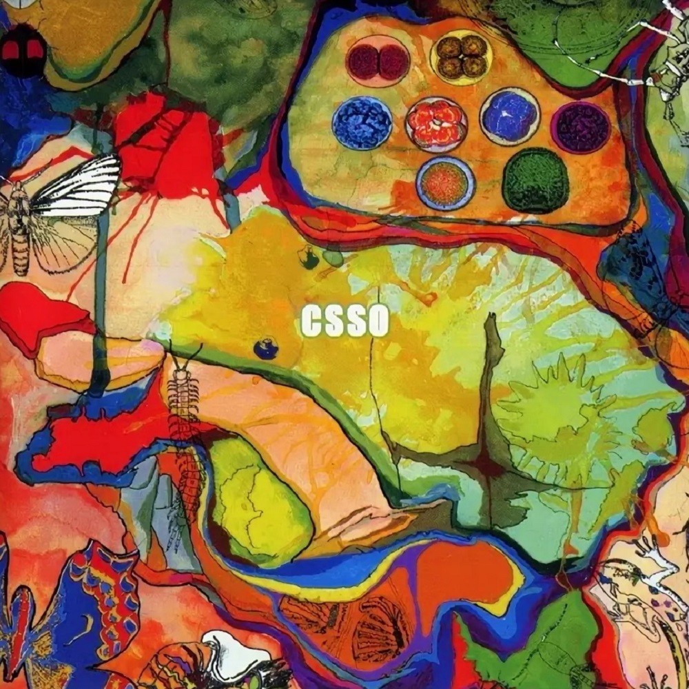 Worst c. Clotted symmetric sexual Organ (c.s.s.o.) / are you excrements?. Best Psychedelic albums of all time. C.S.S.O. - 2001 - are you excrements?. Japanese Noise Rock.