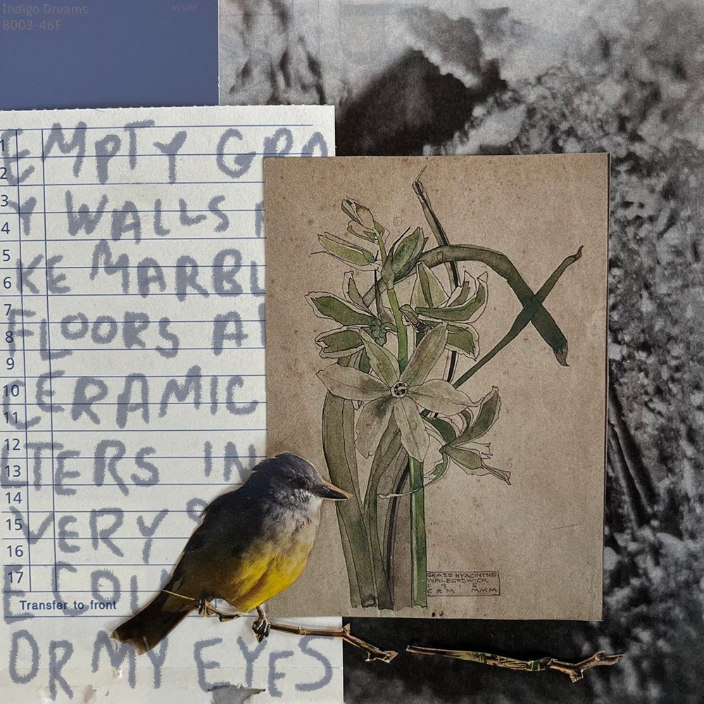 amorebeautifulversionofyou - Strange Bird (2025) Cover