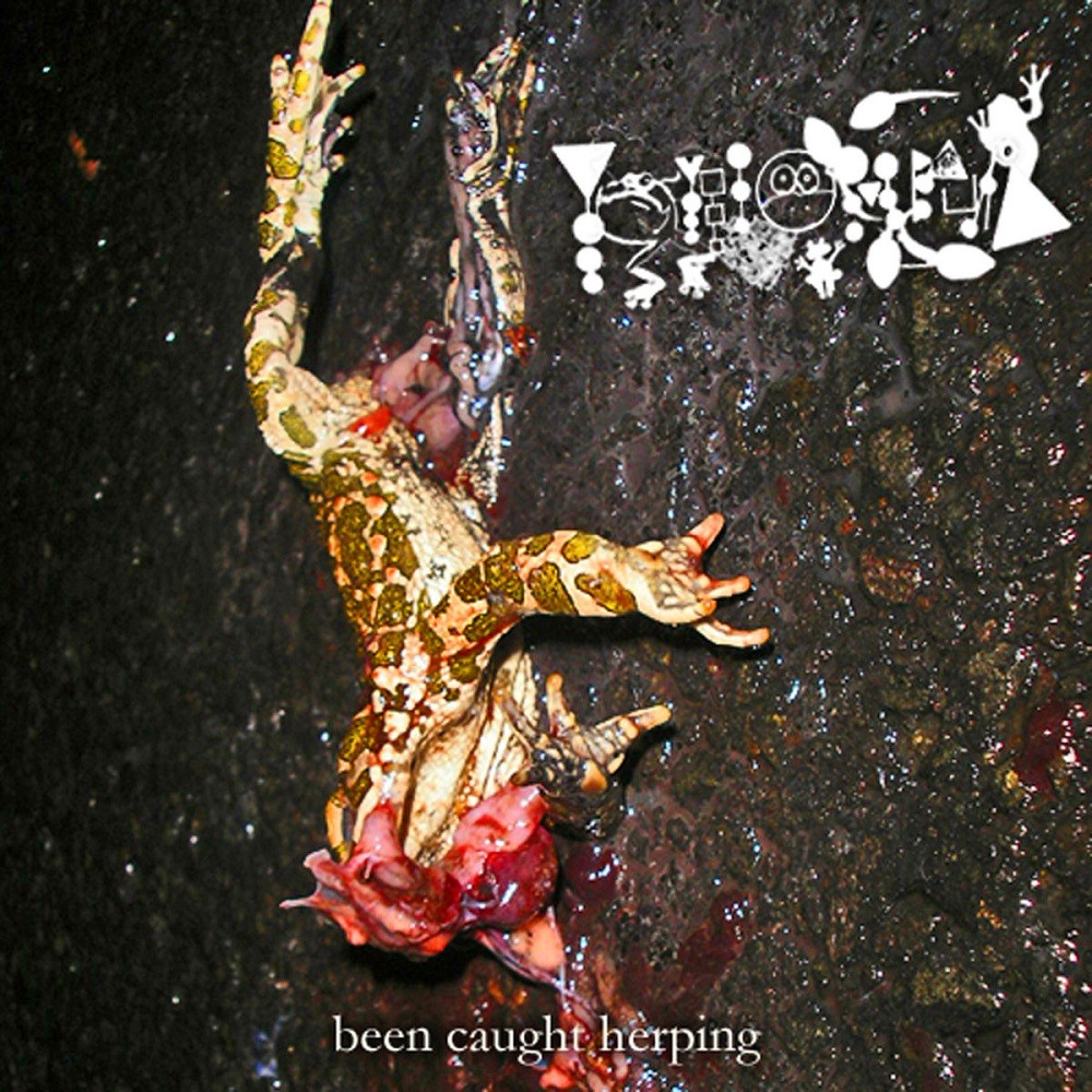 Phyllomedusa - Been Caught Herping (2012) Cover