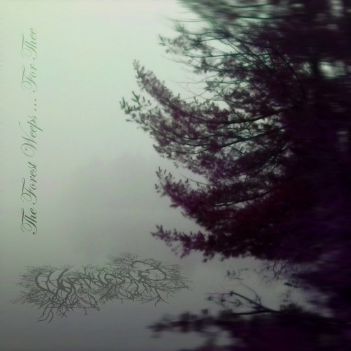 The Forest Weeps for Thee