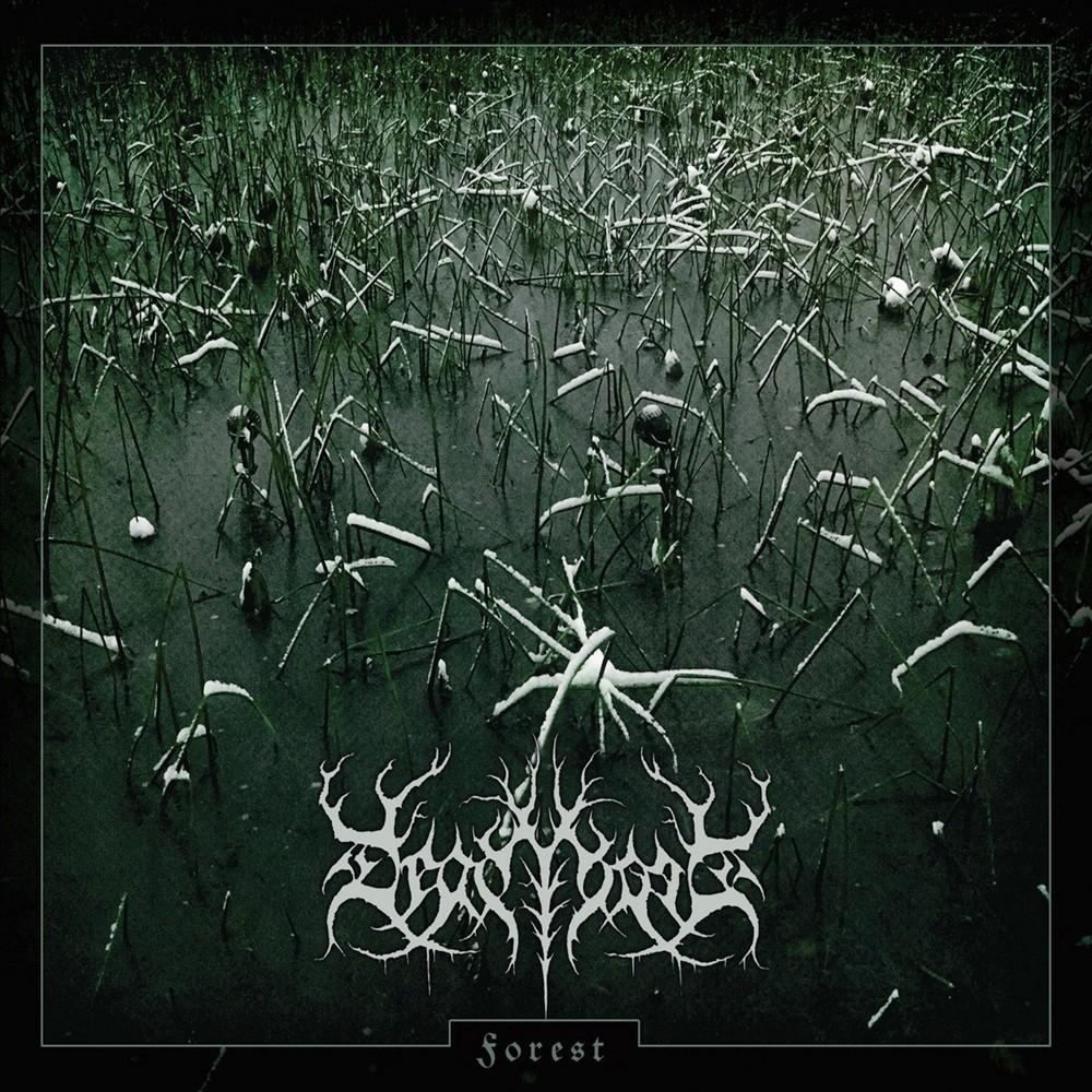 Deadtrees - Forest (2018) Cover