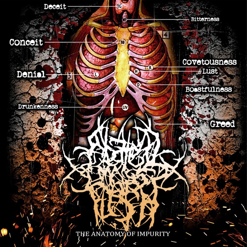 Abated Mass of Flesh - The Anatomy of Impurity (2013) Cover