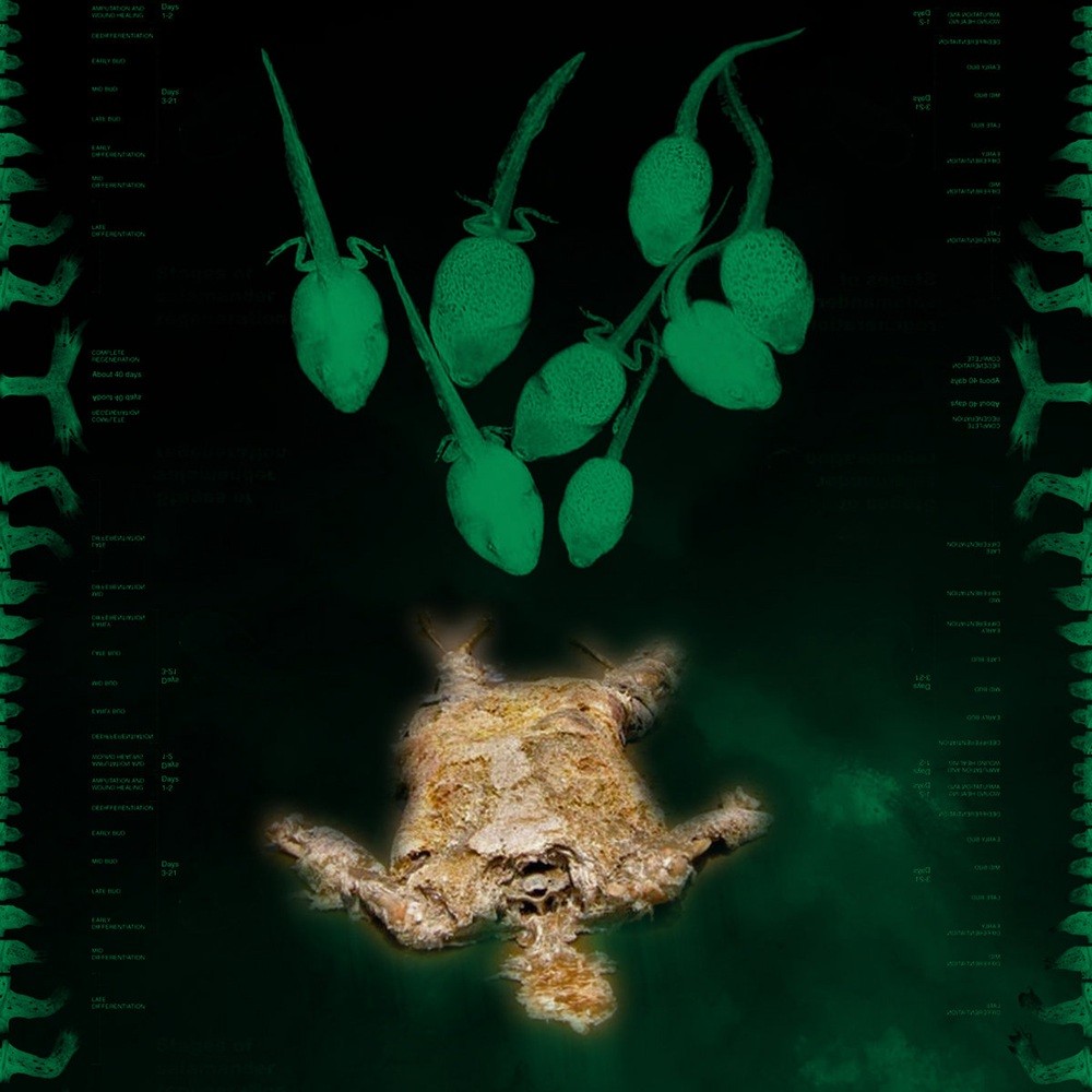 Macrophagous Gilled Larvae - Humanity Shall Never Rise (2023) Cover