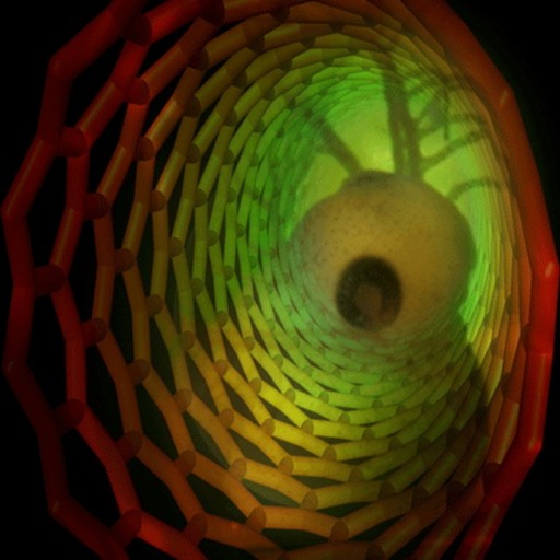 229: I Brought a Heart Into the Room