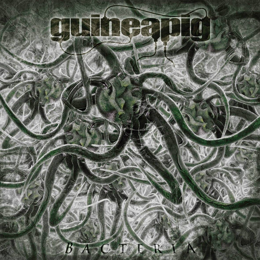 Guineapig - Bacteria (2014) Cover
