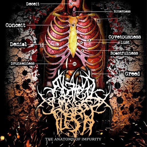 The Anatomy of Impurity