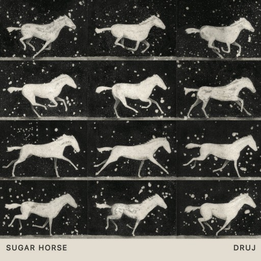 Sugar Horse - Druj 2019