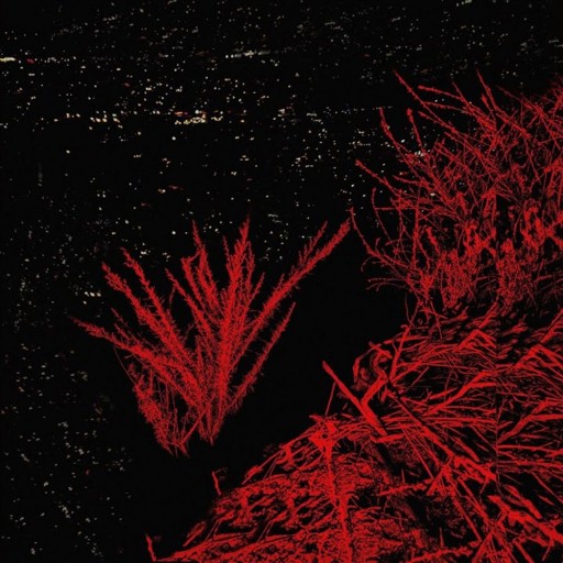 Scream Through the Trees