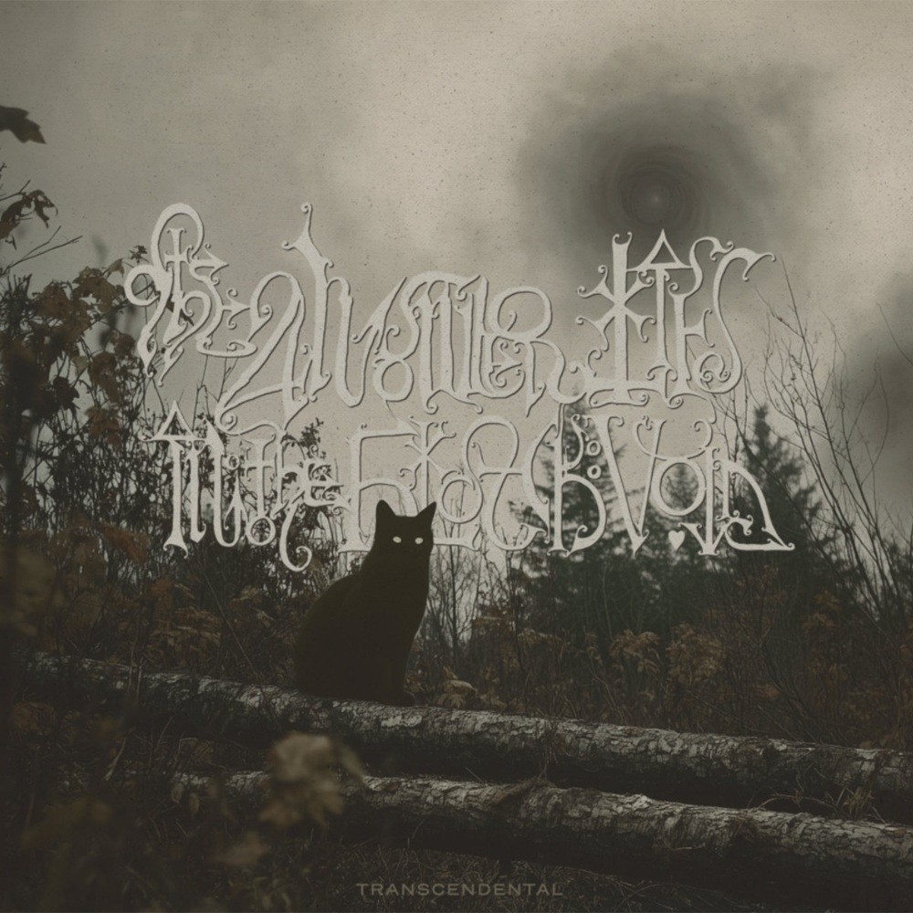 Answer Lies in the Black Void, The - Transcendental (2025) Cover