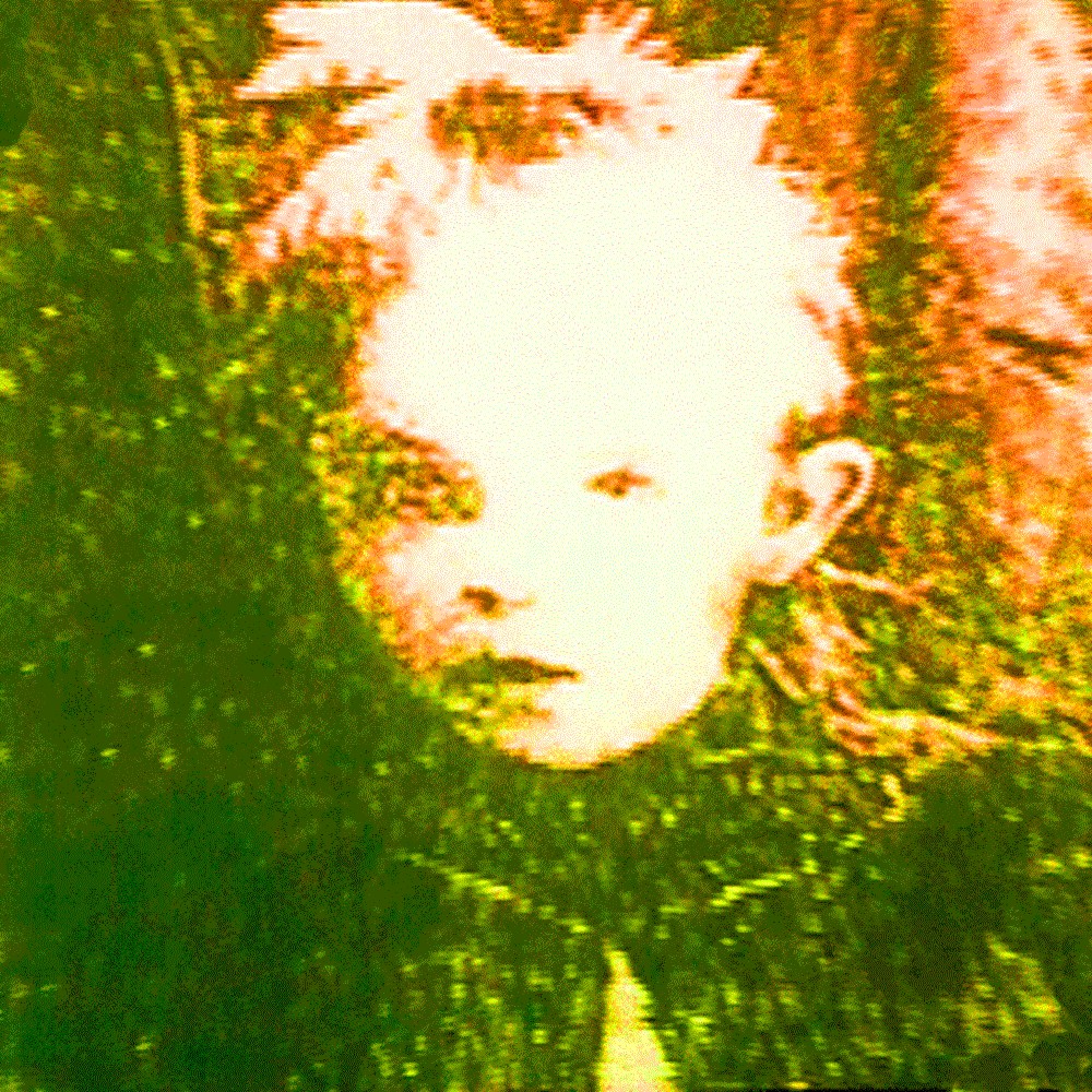 Bull of Heaven - 224: A Strife of Interests Masquerading as a Contest of Principles (2011) Cover