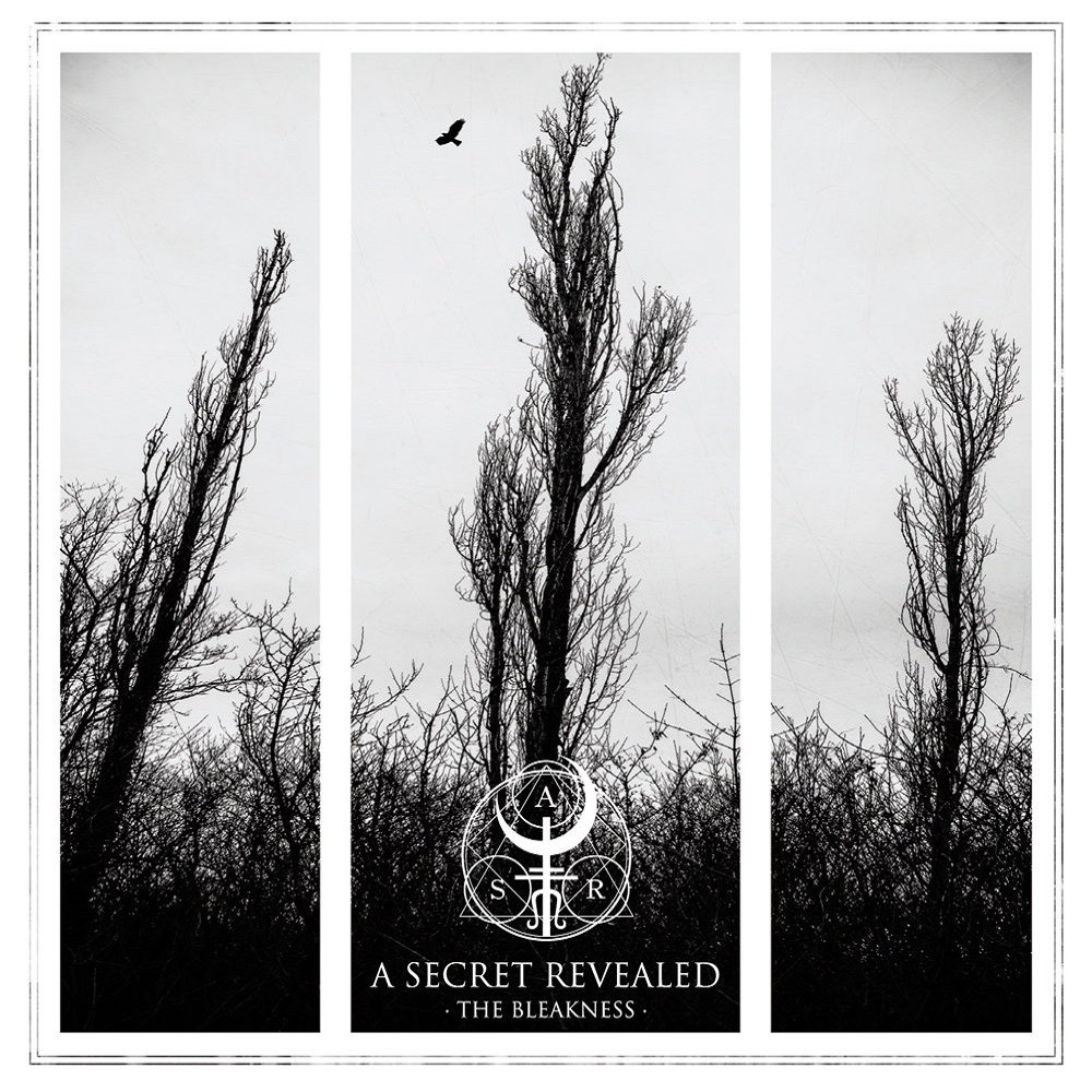 Secret Revealed, A - The Bleakness (2015) Cover