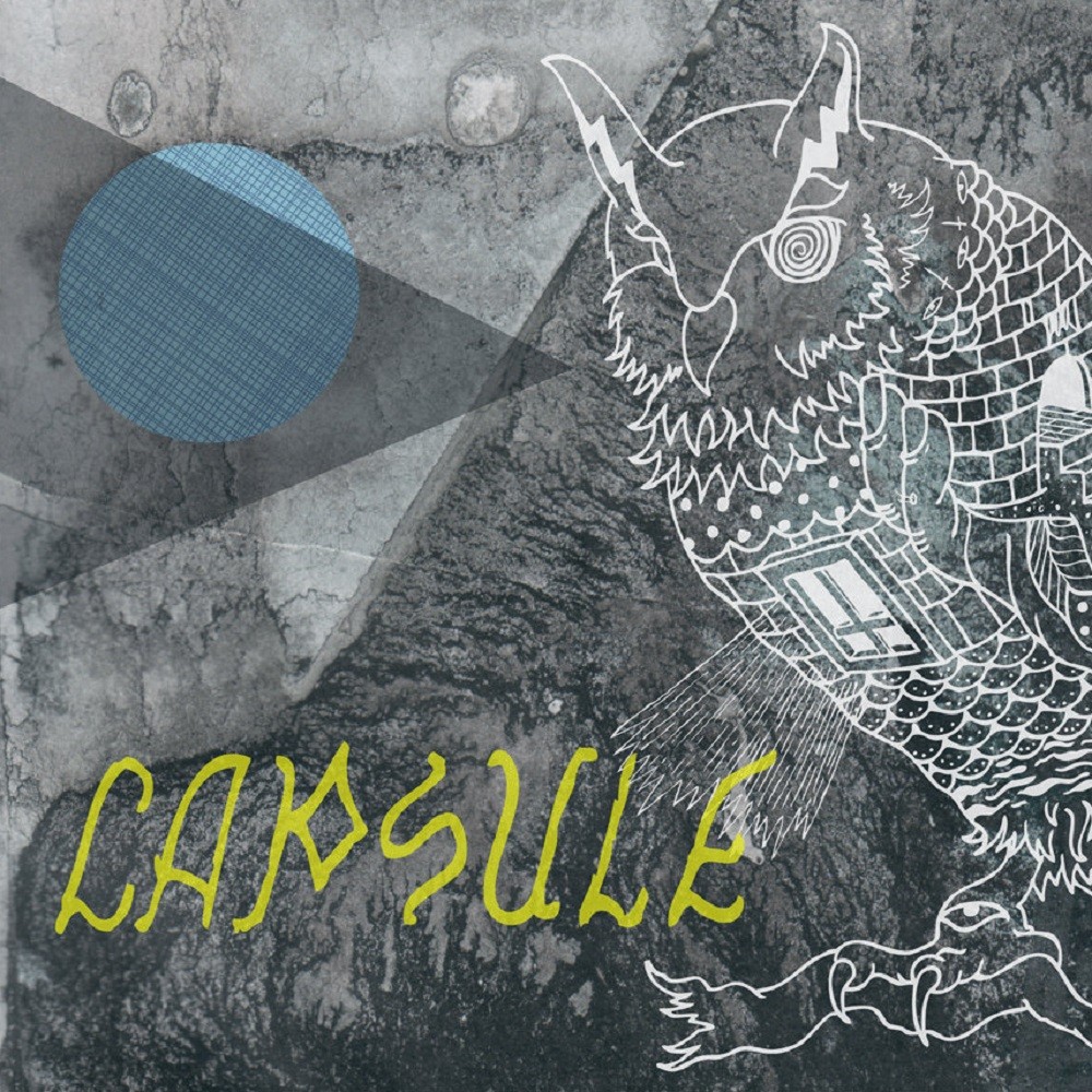 Capsule - No Ghost (2011) Cover