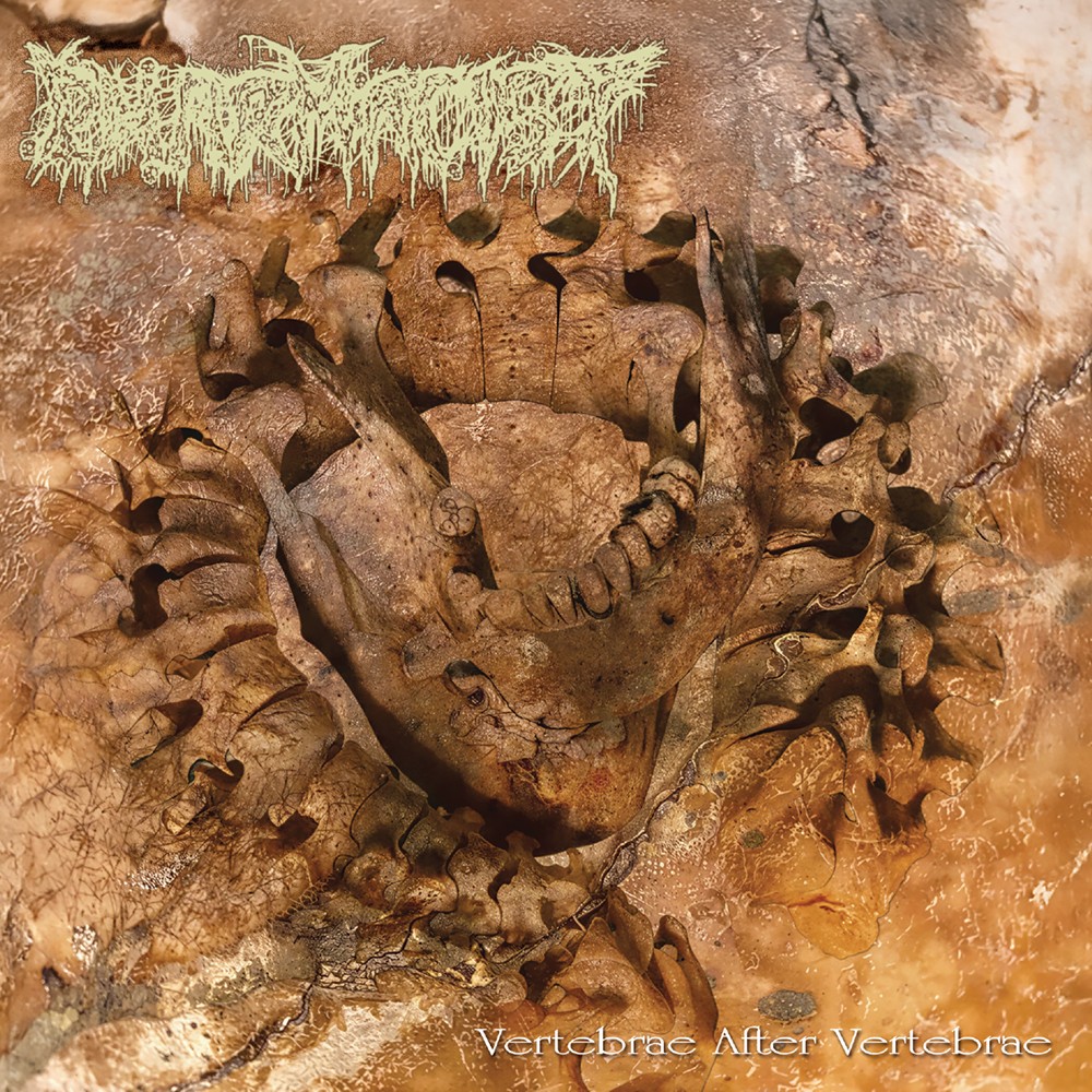 Pharmacist - Vertebrae After Vertebrae (2026) Cover