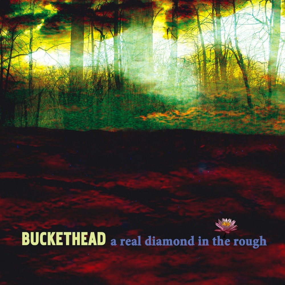 Buckethead - A Real Diamond in the Rough (2009) Cover