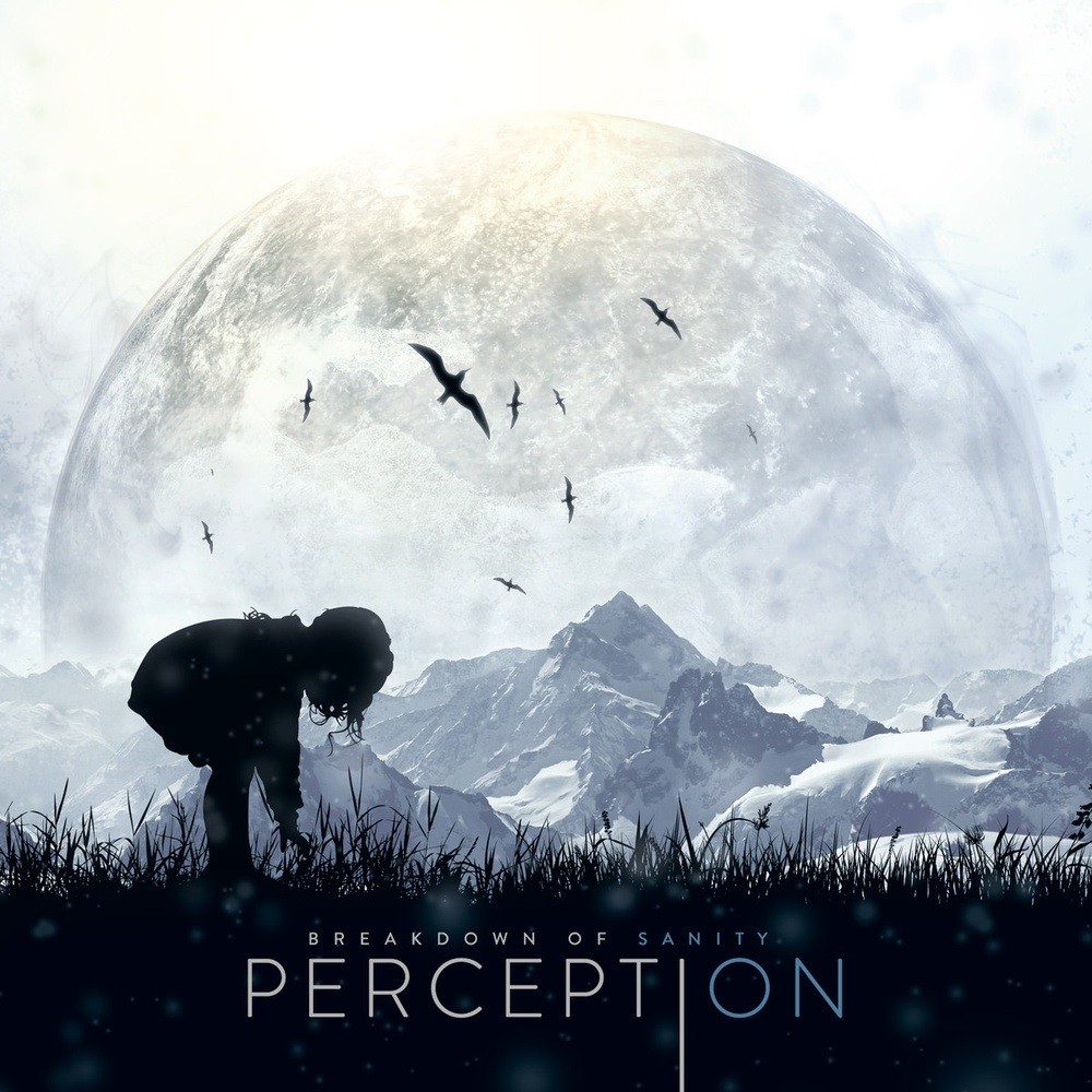 Breakdown of Sanity - Perception (2013) Cover