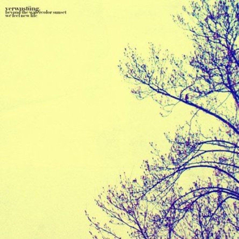 Verwüstung - Beyond the Watercolor Sunset, We Feel New Life (2011) Cover