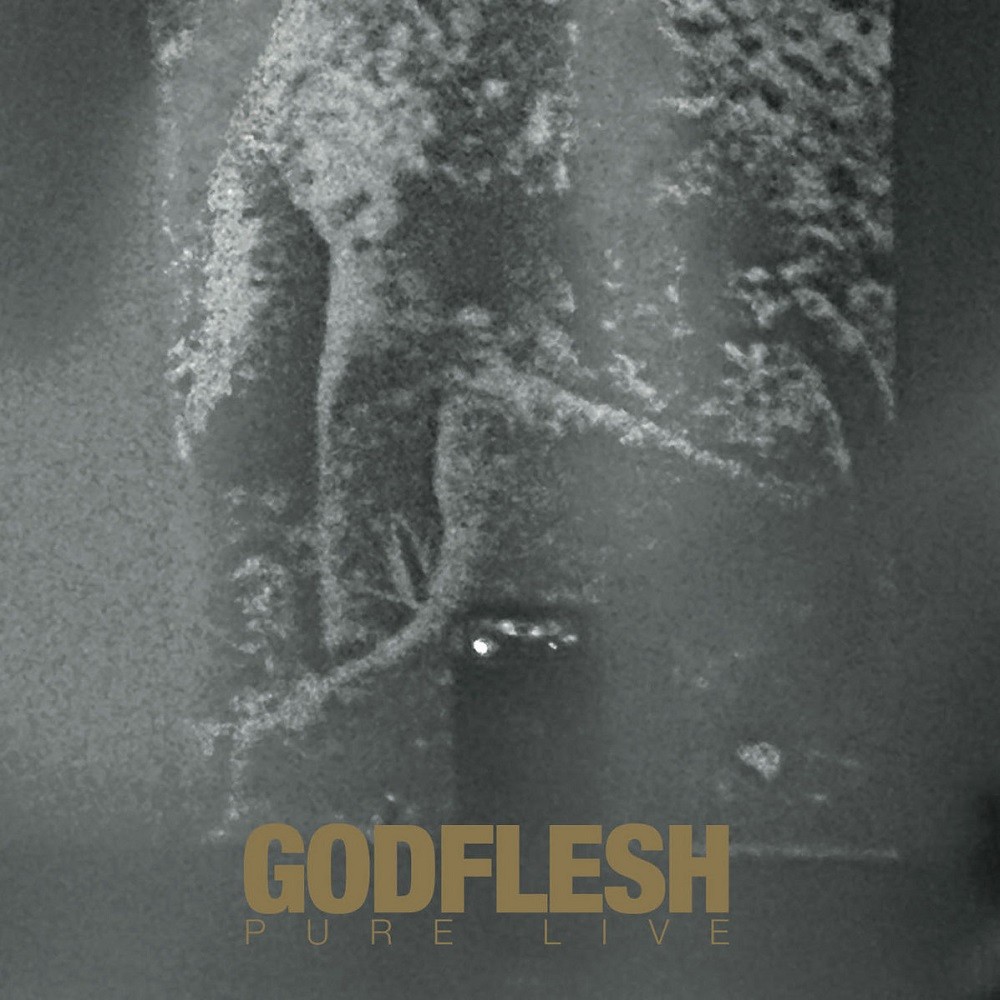 Godflesh - Pure : Live (2022) Cover