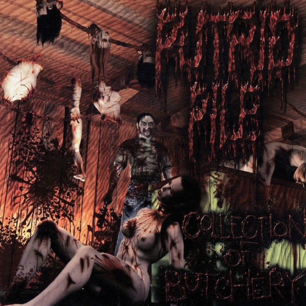 Putrid Pile - Collection of Butchery (2003) Cover