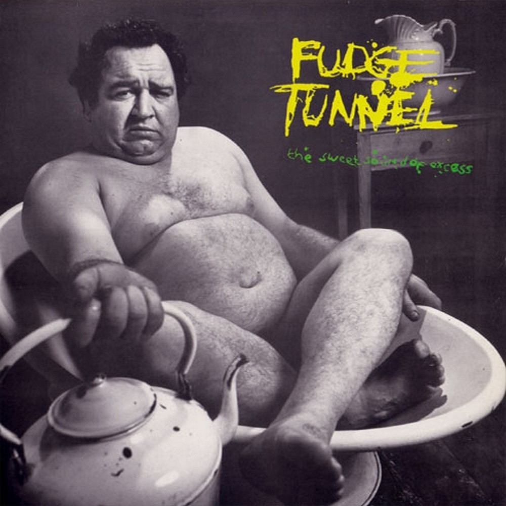 Fudge Tunnel - The Sweet Sound of Excess (1990) Cover
