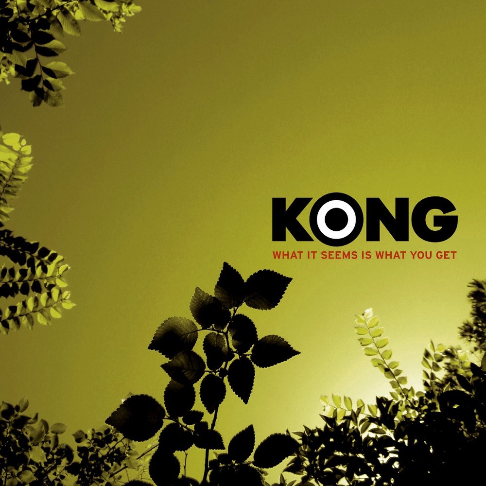 Kong - What It Seems Is What You Get (2009) Cover