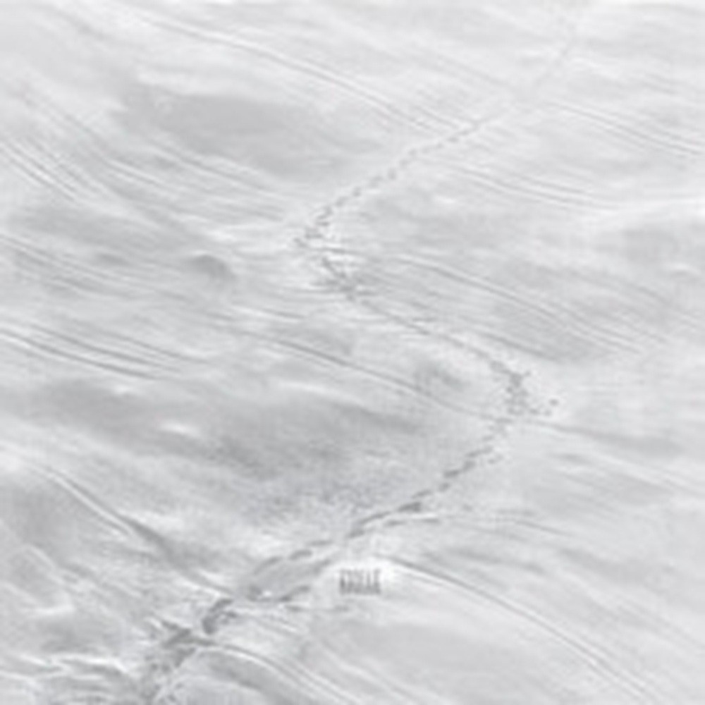Kodiak - Kodiak (2009) Cover