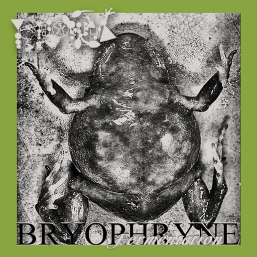 Bryophryne Fermentation