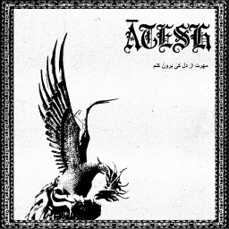 مهرت از دل کی برون کنم