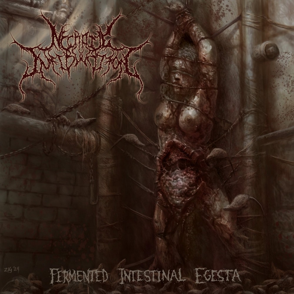 Necrotic Infibulation - Fermented Intestinal Egesta (2024) Cover