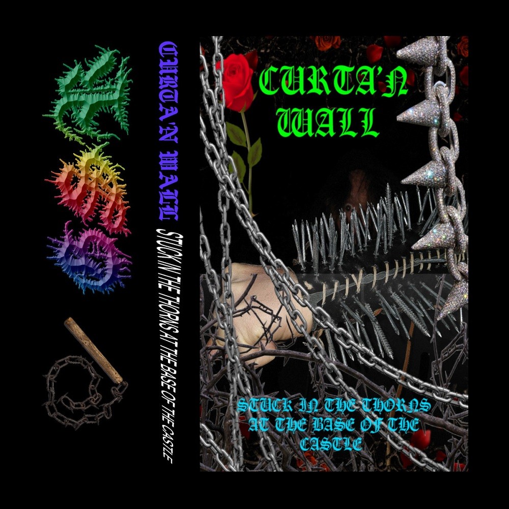 Curta'n Wall - Stuck in the Thorns at the Base of the Castle (2020) Cover